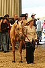 MEC06_2333.jpg