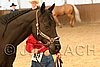 MEC06_2337.jpg