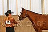 MEC06_2340.jpg