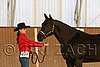 MEC06_2342.jpg