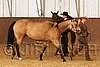 MEC06_2357.jpg