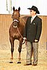 MEC06_2359.jpg