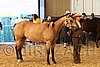 MEC06_2360.jpg