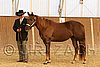 MEC06_2377.jpg