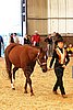 MEC06_2392.jpg
