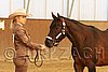 MEC06_2403.jpg