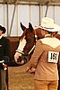 MEC06_2420.jpg