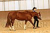 MEC06_2433.jpg