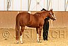 MEC06_2435.jpg