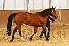 MEC06_2440.jpg