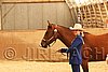 MEC06_2446.jpg