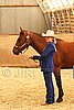 MEC06_2447.jpg