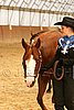 MEC06_2448.jpg