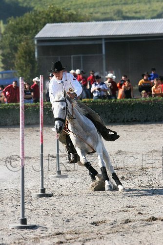 MEC06_3305.jpg