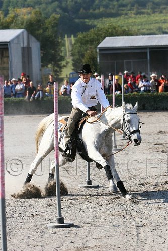 MEC06_3306.jpg