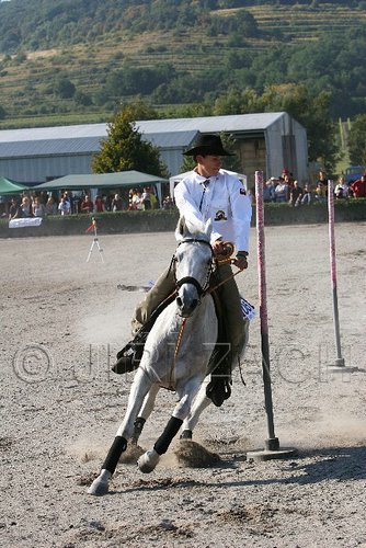 MEC06_3309.jpg