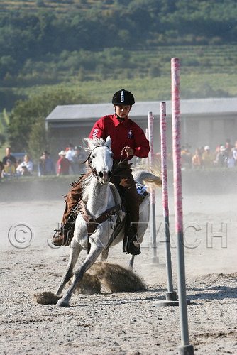 MEC06_3315.jpg