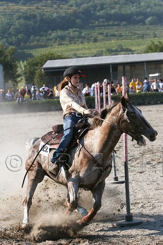 MEC06_3337.jpg