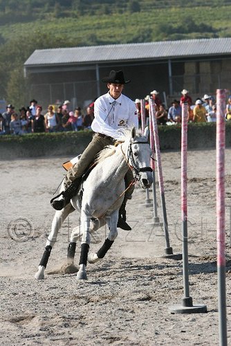 MEC06_3347.jpg