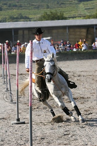 MEC06_3349.jpg