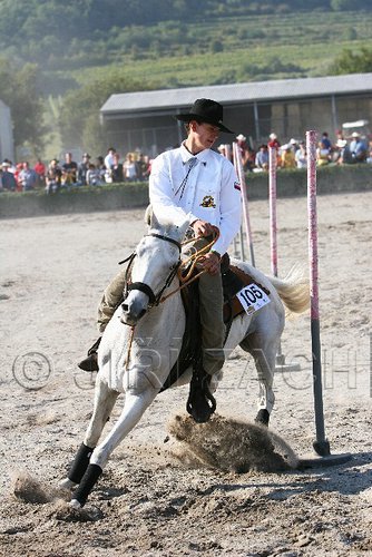 MEC06_3351.jpg
