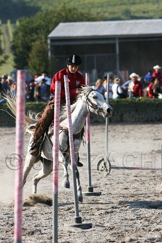 MEC06_3366.jpg