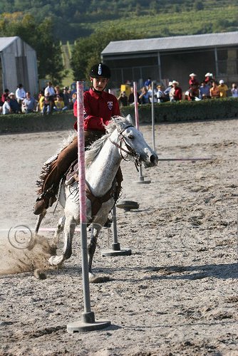 MEC06_3368.jpg
