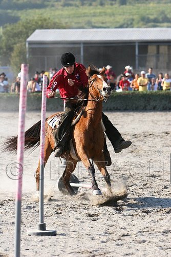 MEC06_3380.jpg