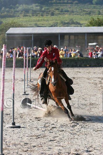 MEC06_3381.jpg
