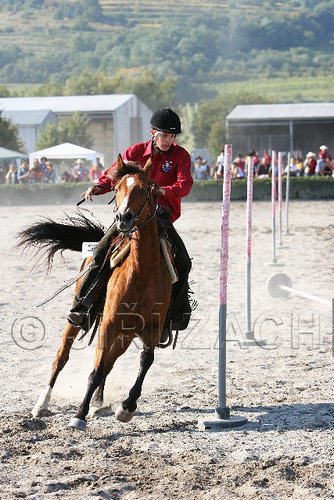MEC06_3383.jpg