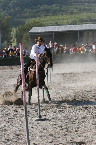 MEC06_3432.jpg