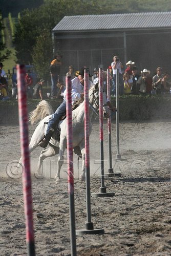 MEC06_3438.jpg