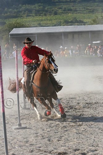 MEC06_3452.jpg
