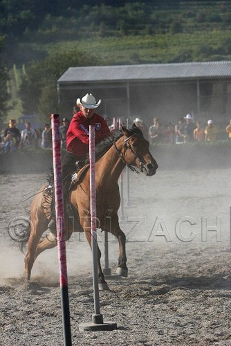 MEC06_3475.jpg