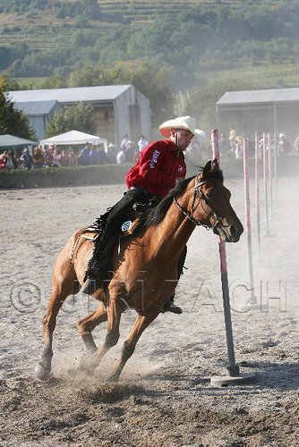 MEC06_3480.jpg