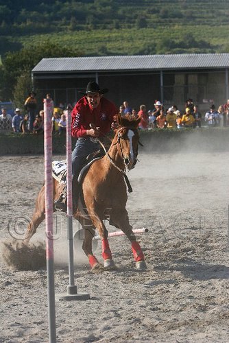 MEC06_3493.jpg