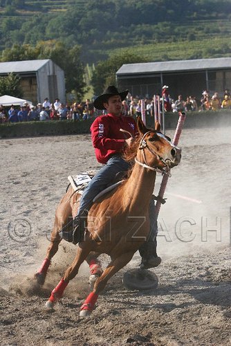 MEC06_3497.jpg