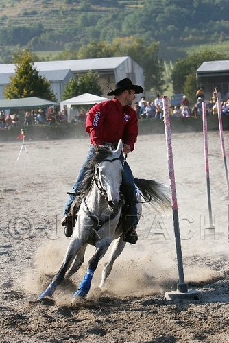 MEC06_3532.jpg