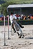 MEC06_3305.jpg