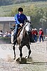 MEC06_3317.jpg
