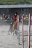 MEC06_3324.jpg