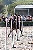 MEC06_3354.jpg