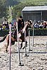 MEC06_3355.jpg