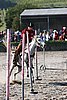 MEC06_3366.jpg