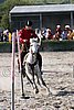 MEC06_3367.jpg