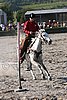 MEC06_3369.jpg