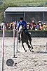 MEC06_3372.jpg