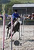 MEC06_3373.jpg