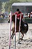 MEC06_3379.jpg