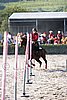 MEC06_3384.jpg